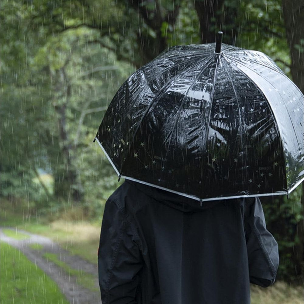 Person mit schwarzem Regenschirm auf einem Weg im Regen, Wald im Hintergrund.