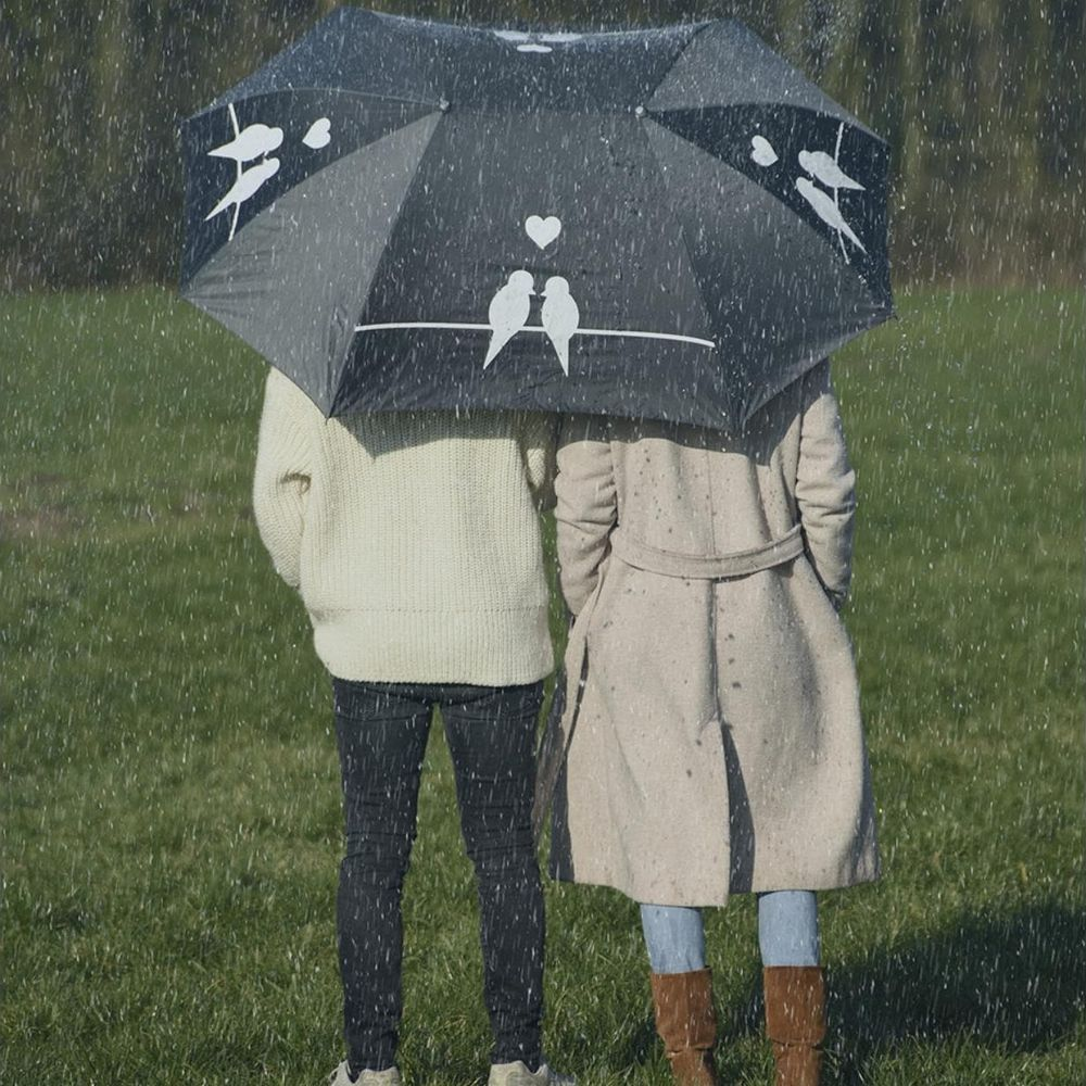 Zwei Personen stehen unter einem Regenschirm mit Vogelmotiv im Regen auf einer grünen Wiese.