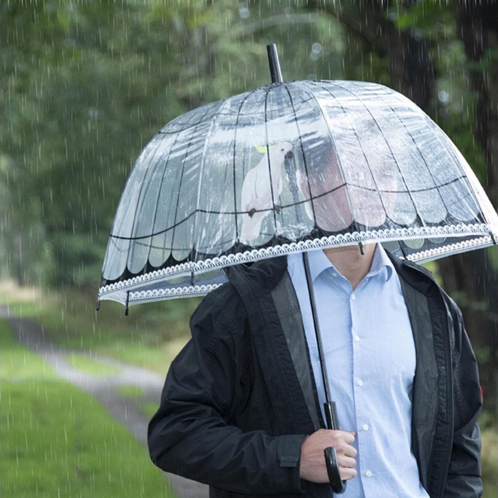 Mann mit durchsichtigem Regenschirm und Papageiendruck im Regen