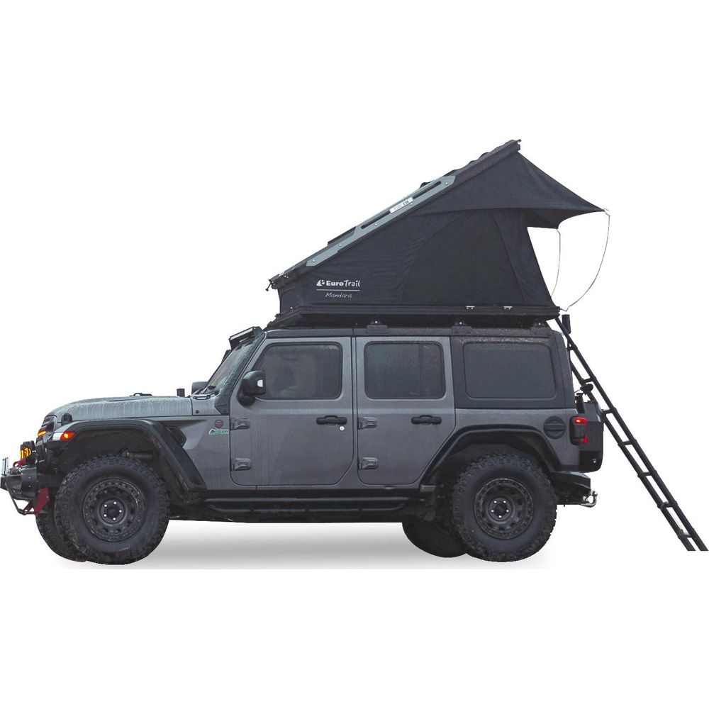 Grauer Jeep mit Dachzelt und ausgefahrener Leiter, helle Seitenansicht.