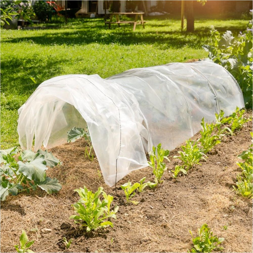 Ein Gewächshaustunnel schützt junge Pflanzen in einem Garten mit Rasen und Bäumen.