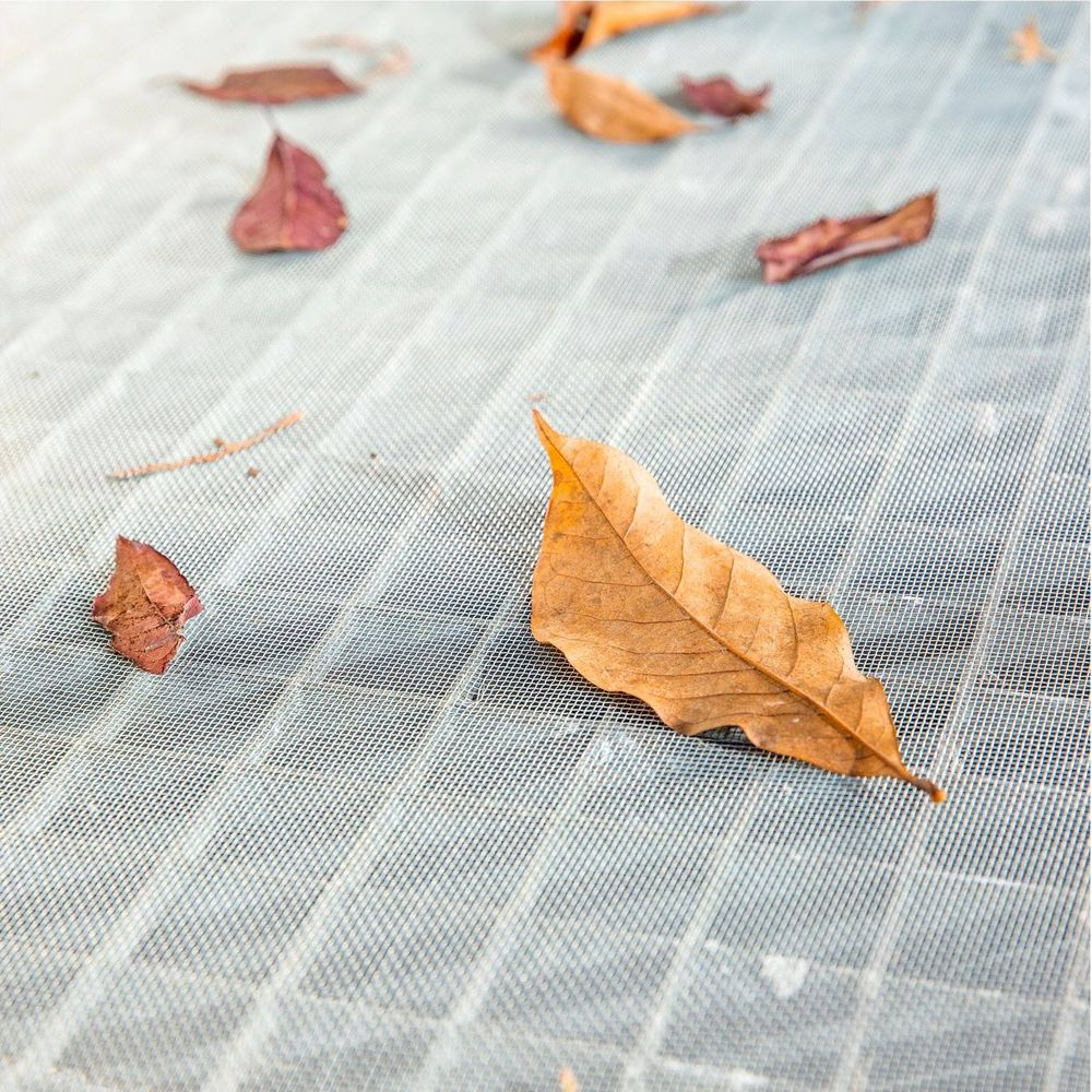 Braunes Blatt liegt auf einem feinmaschigen Gitter.