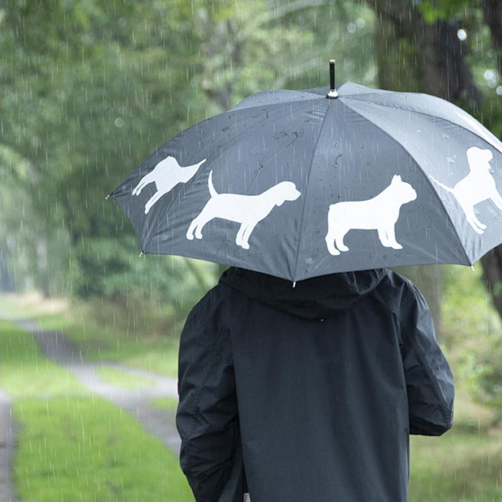 Person mit Regenschirm mit Hundemotiv im Regen auf einem Weg.