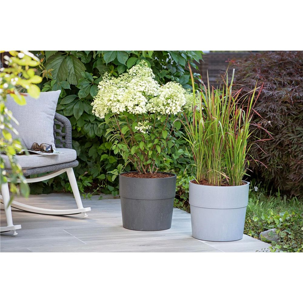 Zwei Pflanzen in Töpfen auf einer Terrasse: eine Hortensie mit weißen Blüten und Ziergras.