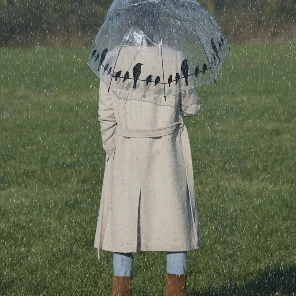 Persona con cappotto beige e ombrello trasparente con uccelli, sotto la pioggia su prato.