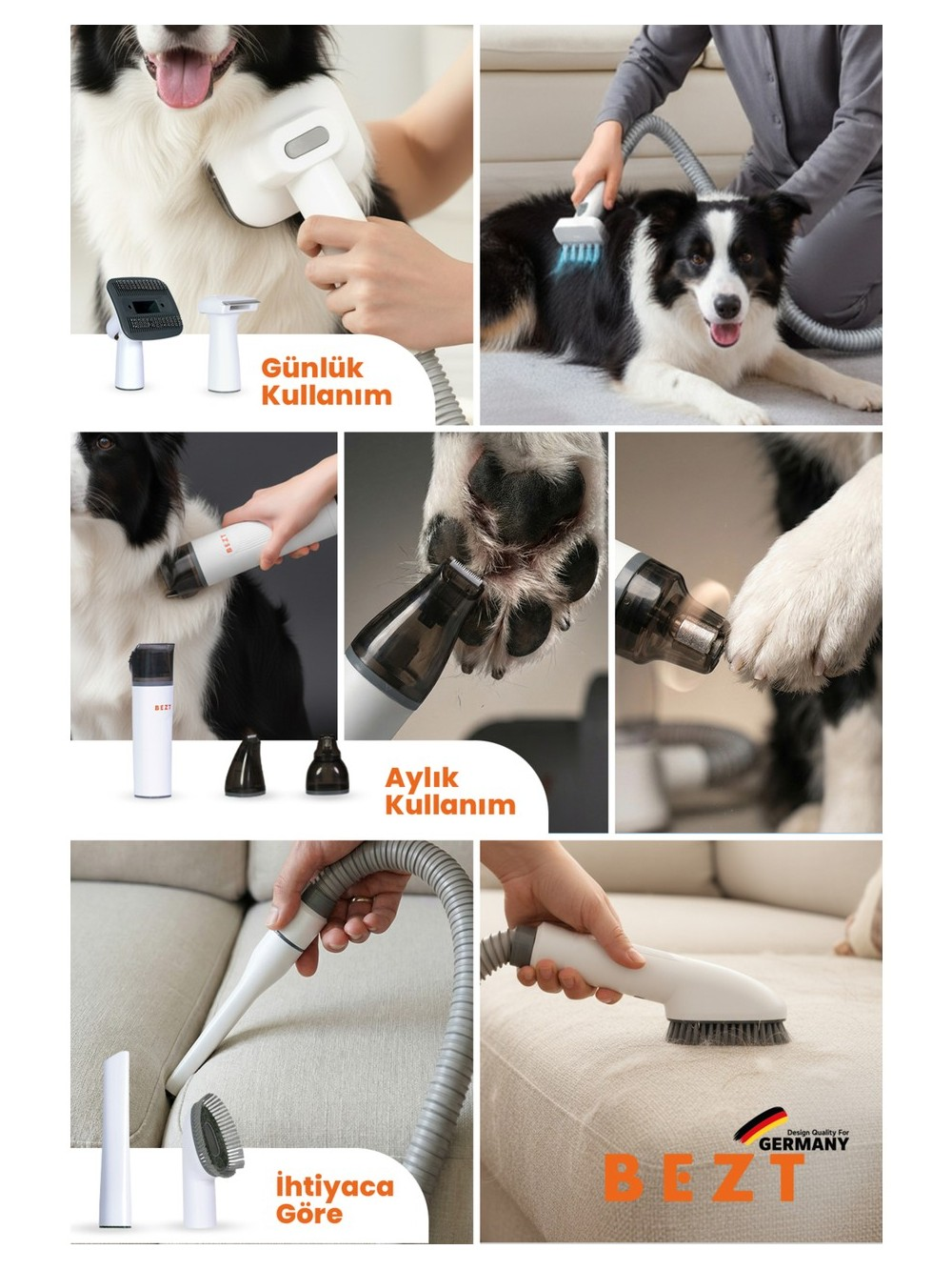 Kollaj, köpek bakım ürünlerini gösterir: fırçalar, tüy ve pati için vakum, kanepe temizleyici.