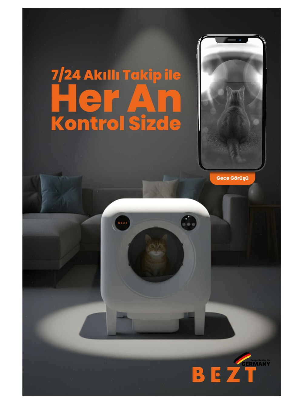 İçinde kedi olan kedi kumu ve kedi gösteren telefon ekranı.
