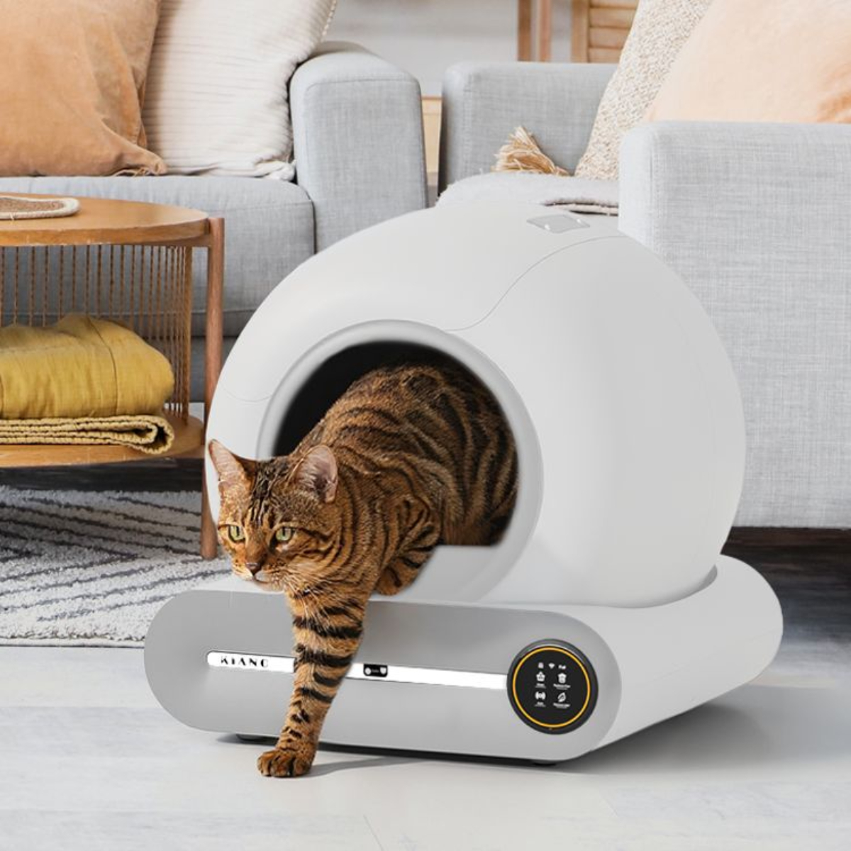 Un gatto tigrato esce da una lettiera bianca ed ellittica in un salotto.
