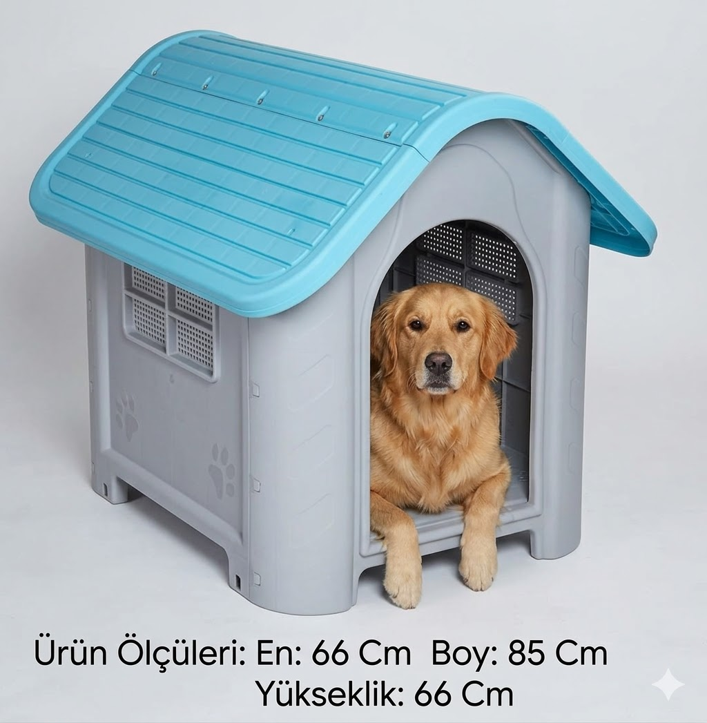 Gri ve mavi köpek kulübesinde oturan bir Golden Retriever.