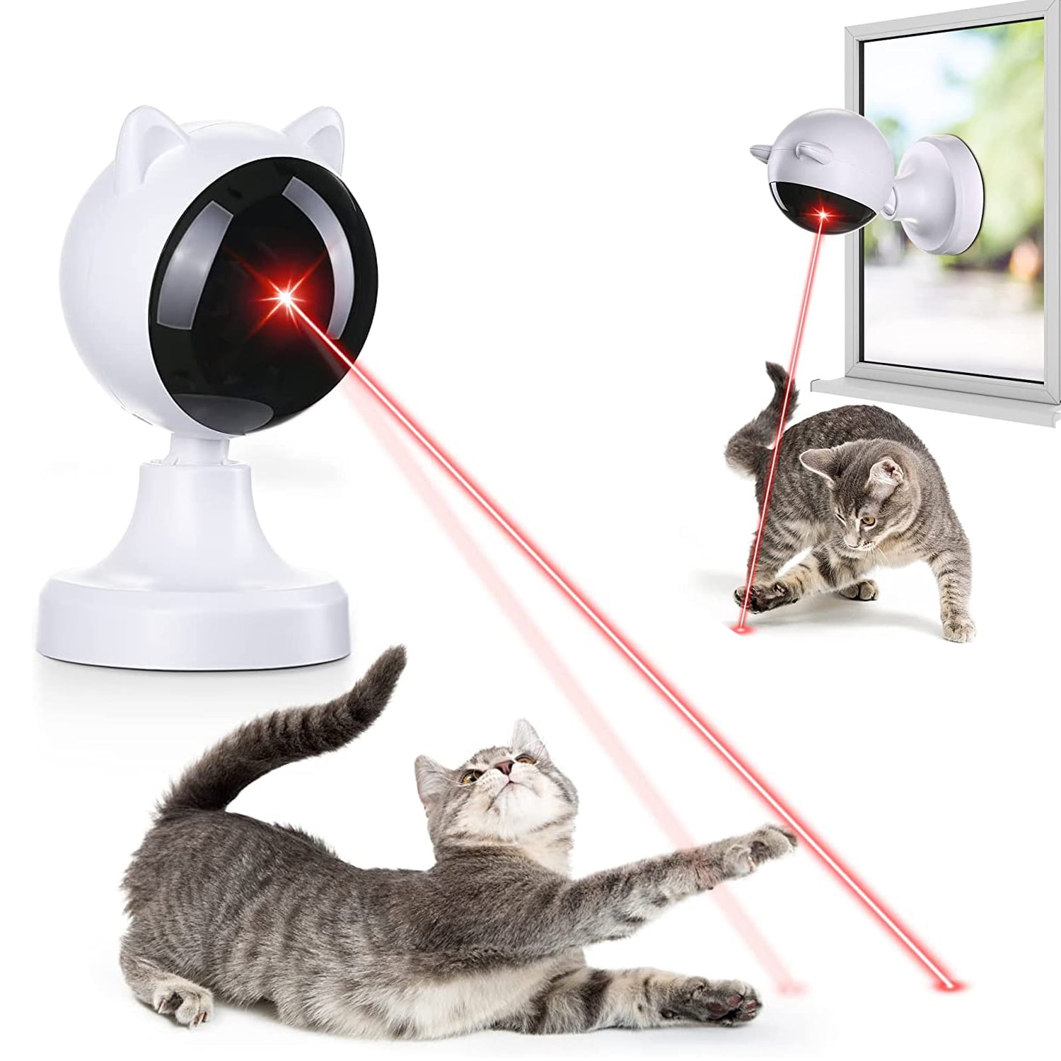 Zwei Katzen spielen mit einem rotierenden Laserpointer-Spielzeug.