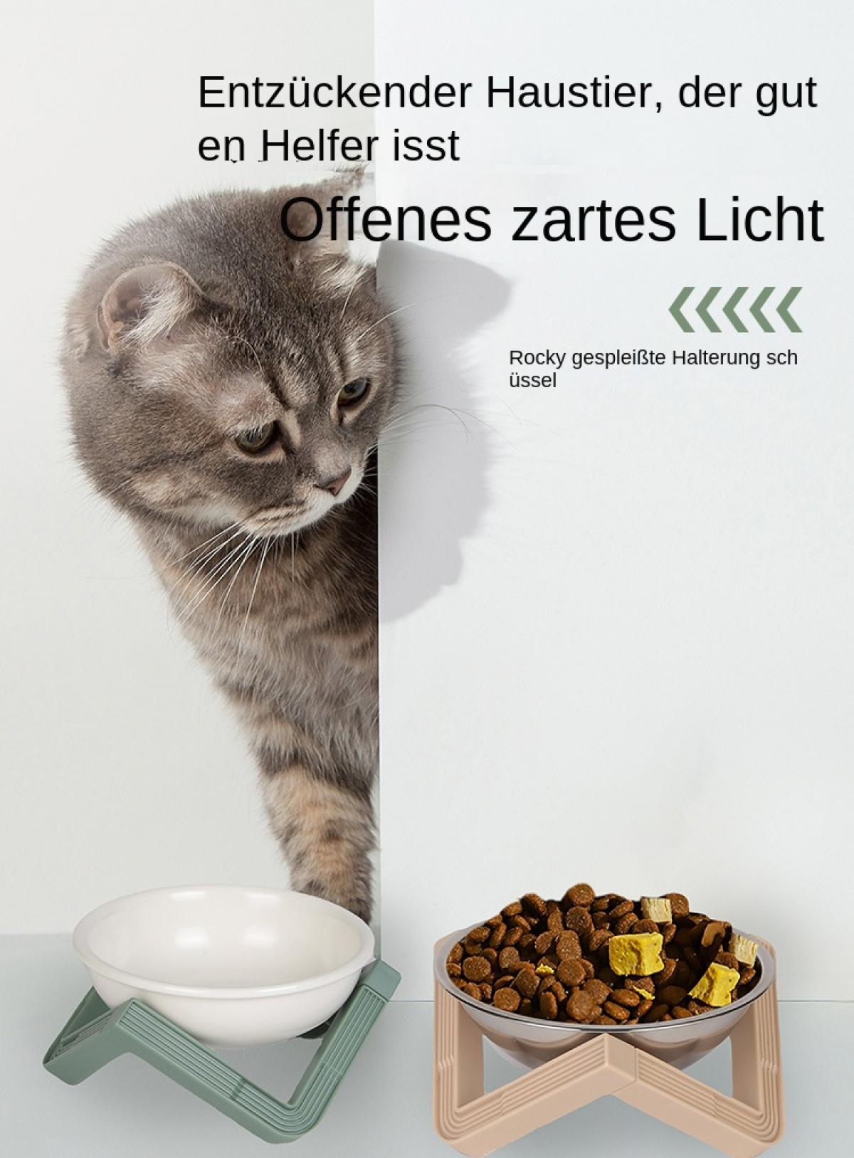 Eine Katze blickt über einen weißen Rand, neben Futternäpfen.