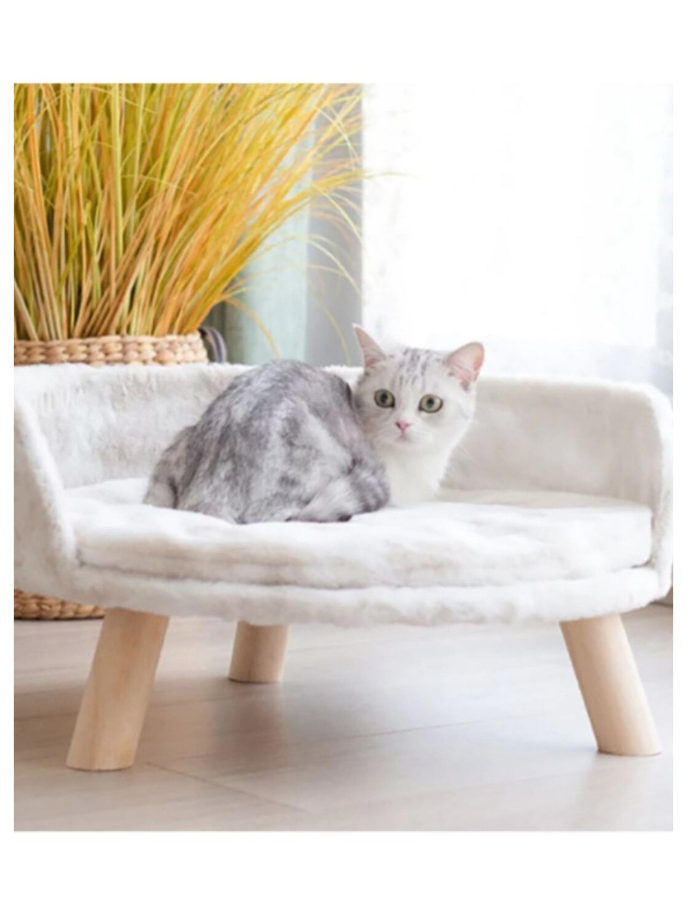 Gri ve beyaz bir kedi, ahşap bacaklı kabarık beyaz bir evcil hayvan yatağında oturuyor.