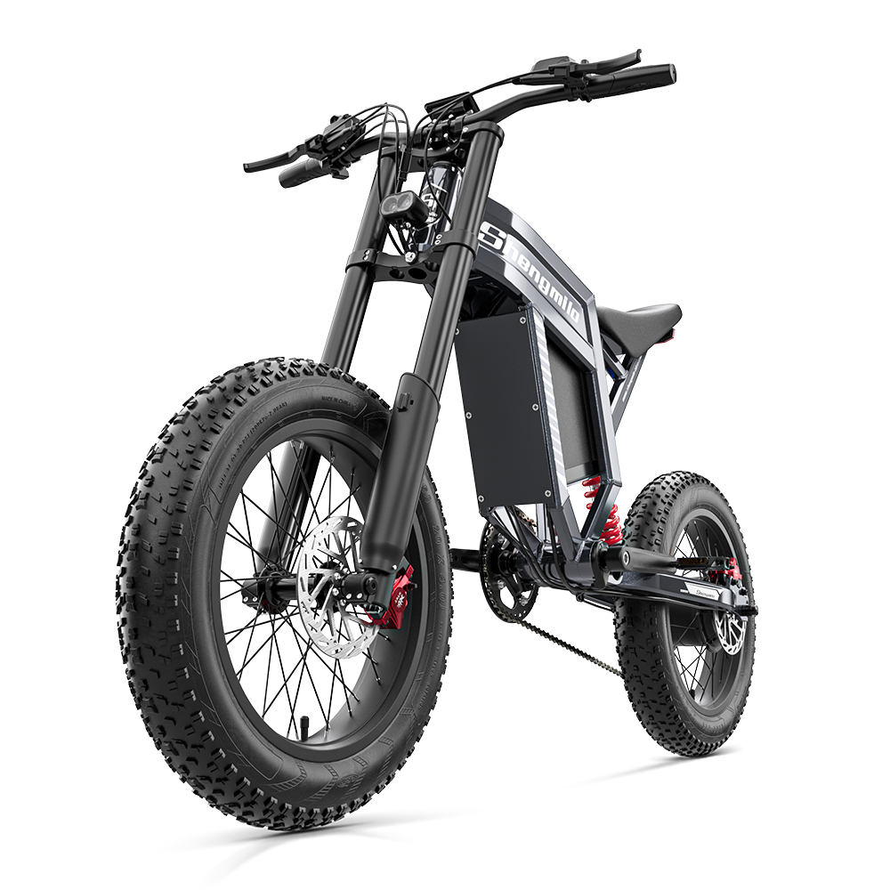 Ein schwarzes, dreirädriges E-Bike mit dicken Reifen, Federung und einem Akku.