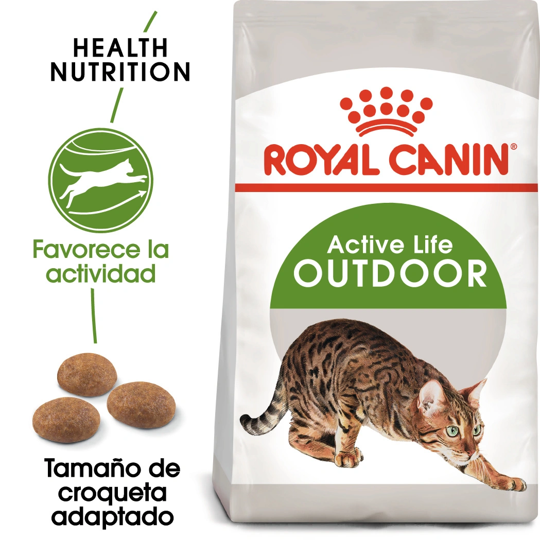 Torba karmy dla kotów Royal Canin Outdoor ze zdjęciem kota i krokietami.
