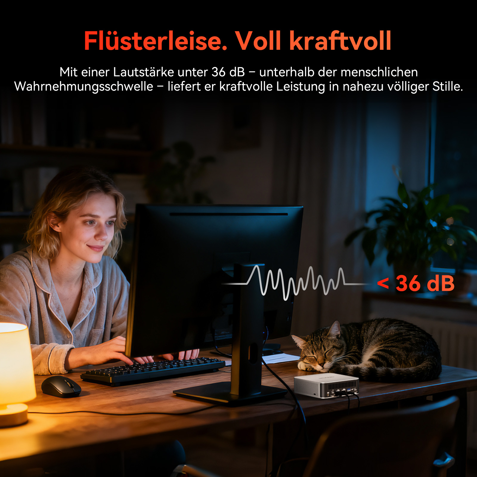 Eine Frau arbeitet am Computer, während ihre Katze neben ihr schläft. Geräuschpegel unter 36 dB.