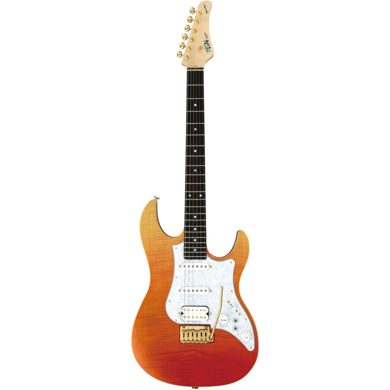 FUJIGEN Odyssey Elektro Gitar EOSFMRRKG