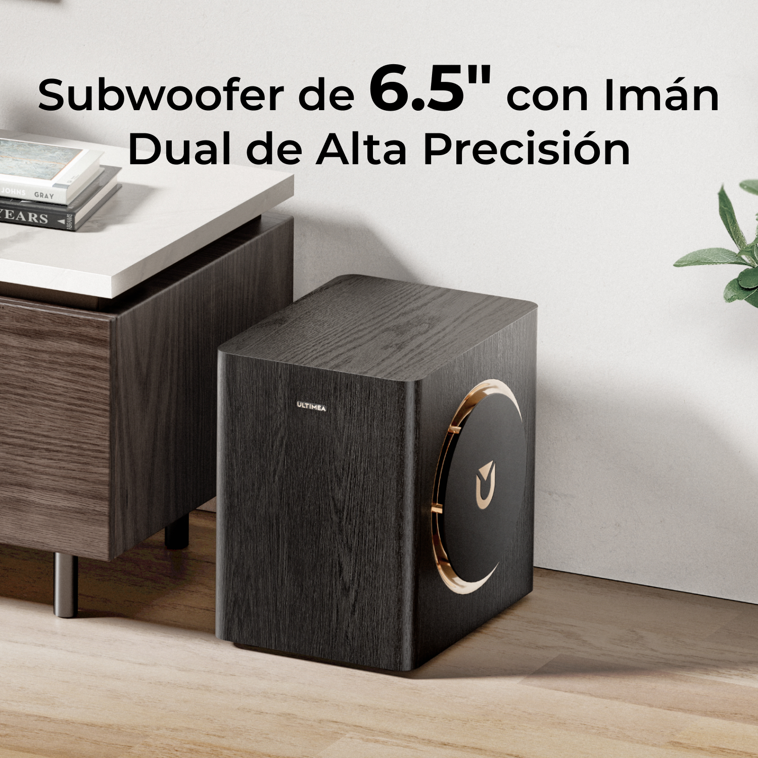 Un subwoofer de madera negro con detalles dorados se asienta sobre un suelo de madera junto a un armario.