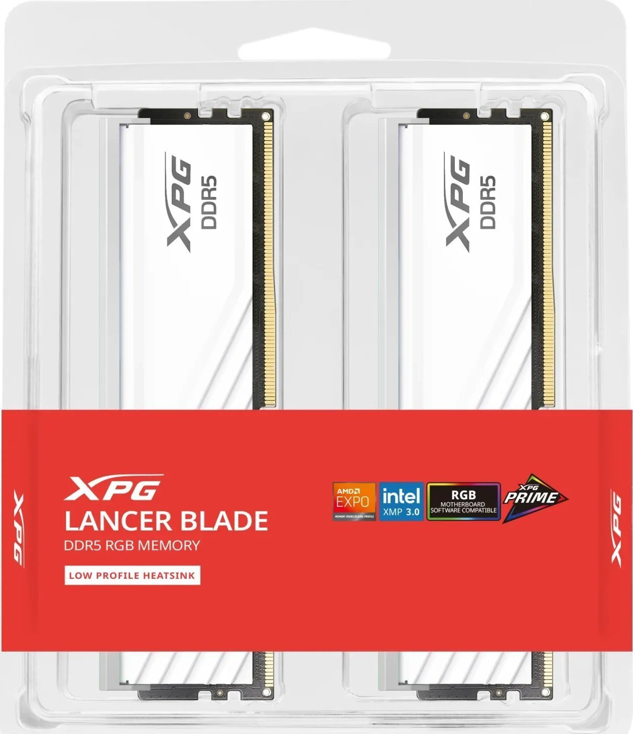 Due moduli RAM XPG DDR5 bianchi con stampa rossa in confezione trasparente.