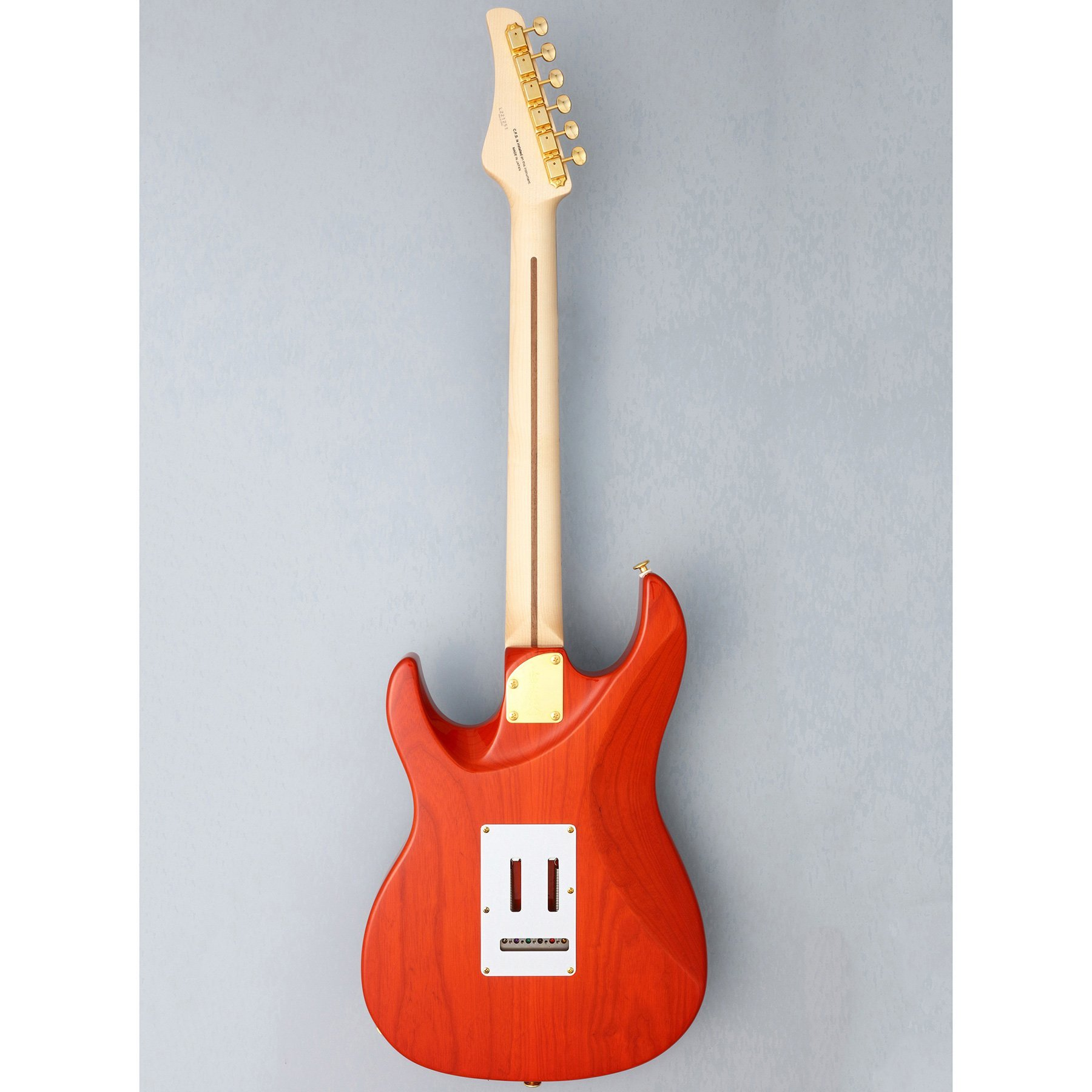 Altın burgulu, gümüş köprülü kırmızı elektro gitarın arkası.