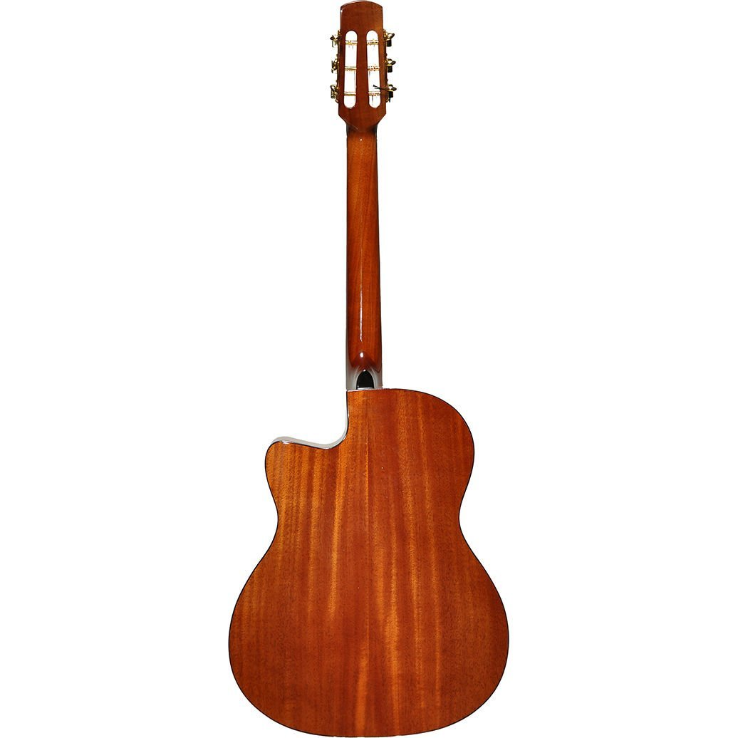 Maun gövdeli ve saplı akustik gitarın arka görünümü.
