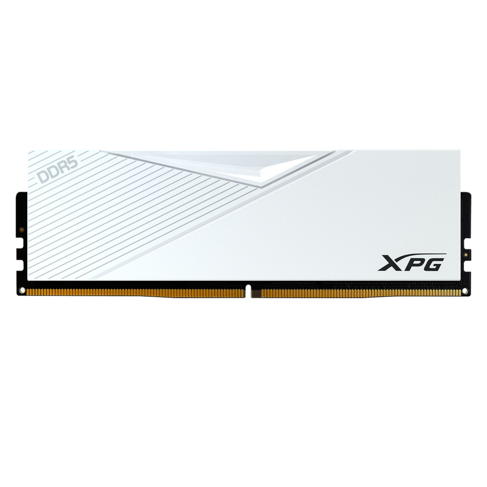 Gümüş çizgili ve XPG logolu beyaz bir DDR5 RAM.