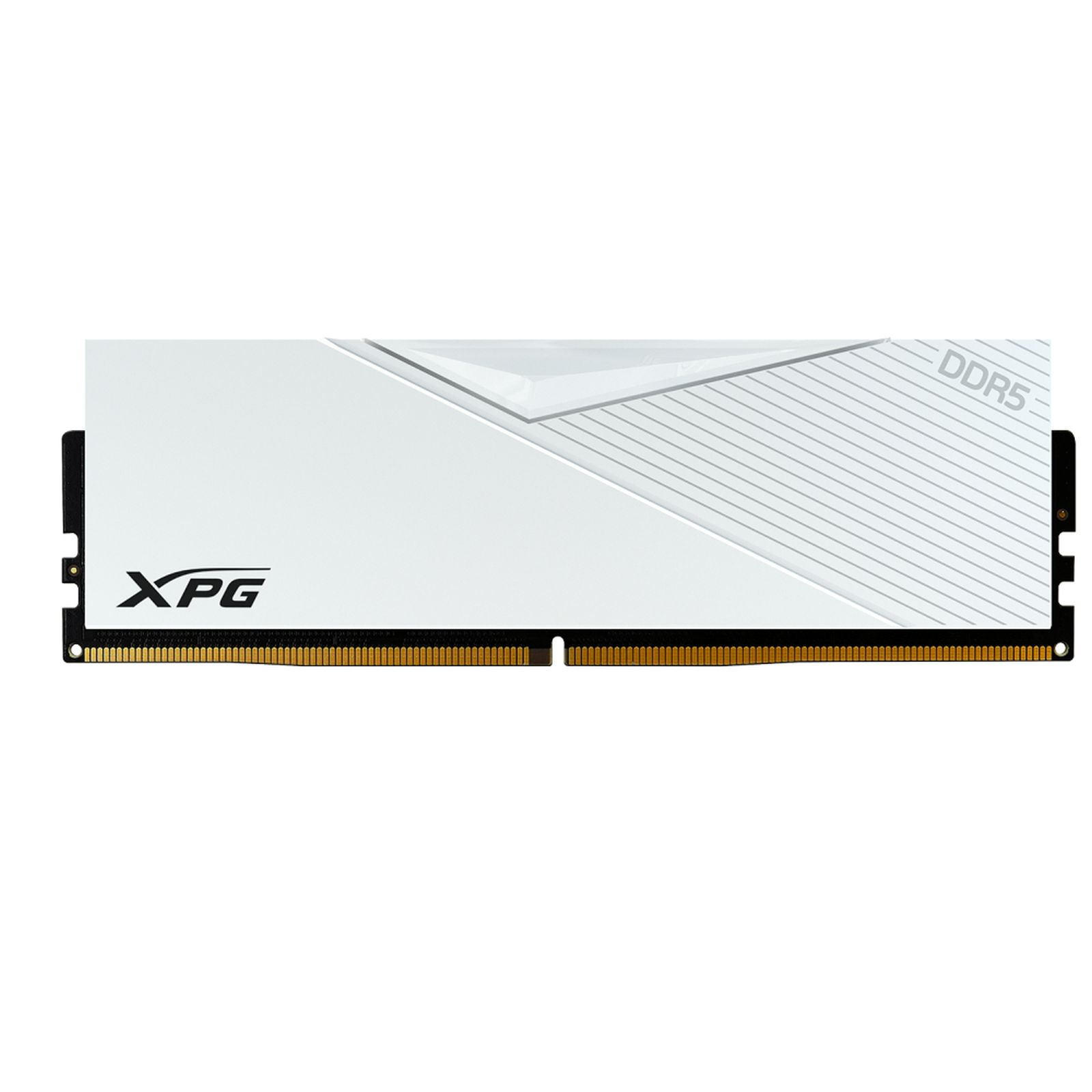XPG logolu beyaz DDR5 RAM bellek, altın kontaklı.