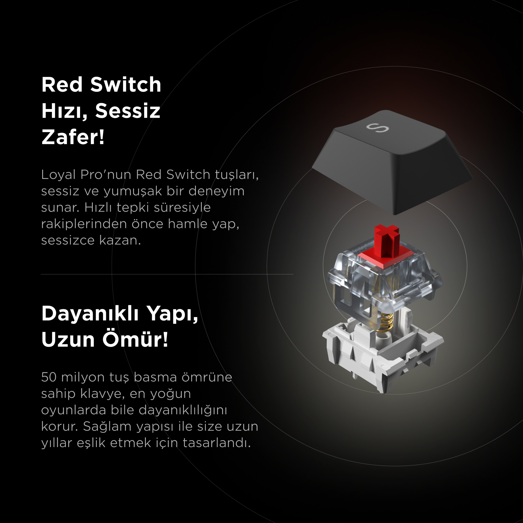 Kırmızı gövdeli, şeffaf kasalı mekanik klavye tuş anahtarı ve tuş başlığı.