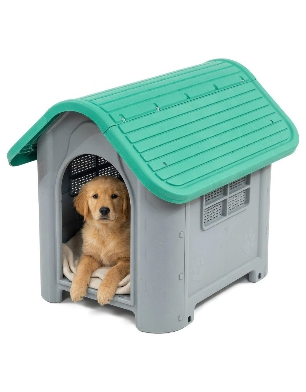 Gri ve yeşil köpek kulübesinde battaniyenin üzerinde oturan Golden Retriever yavrusu.