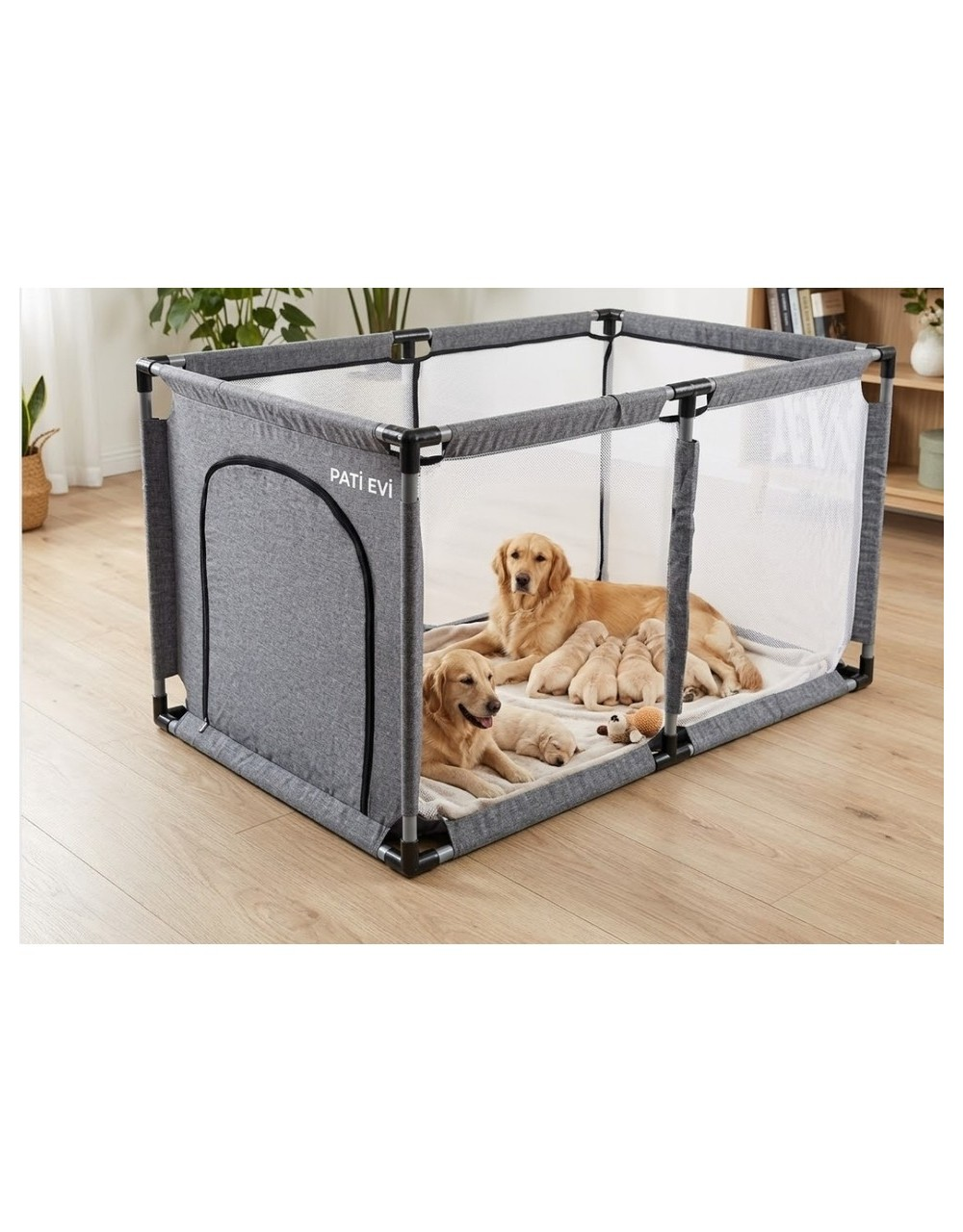 İki Golden Retriever yavru köpeklerle gri bir oyun parkında yatıyor.