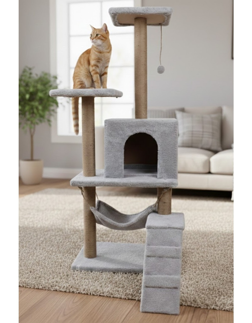 Turuncu bir kedi, hamak ve oyuncaklı bir kedi ağacında oturuyor.