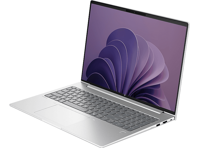 HP ProBook 4 G1I DDR5 Intel® Grafik GPU D29QHETF33 Intel Core