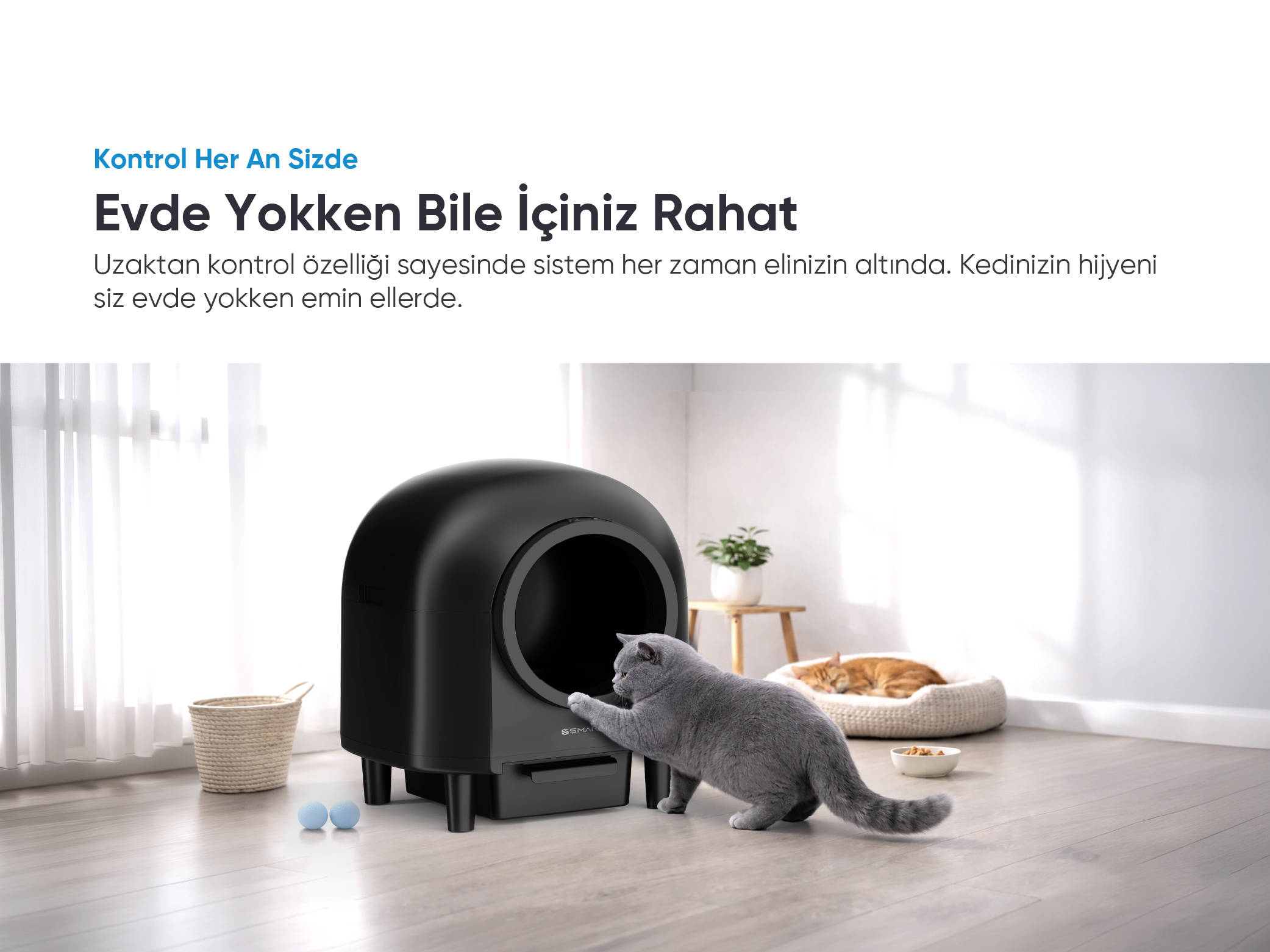 Gri kedi siyah kedi kumuna giriyor, turuncu kedi yatakta uyuyor.