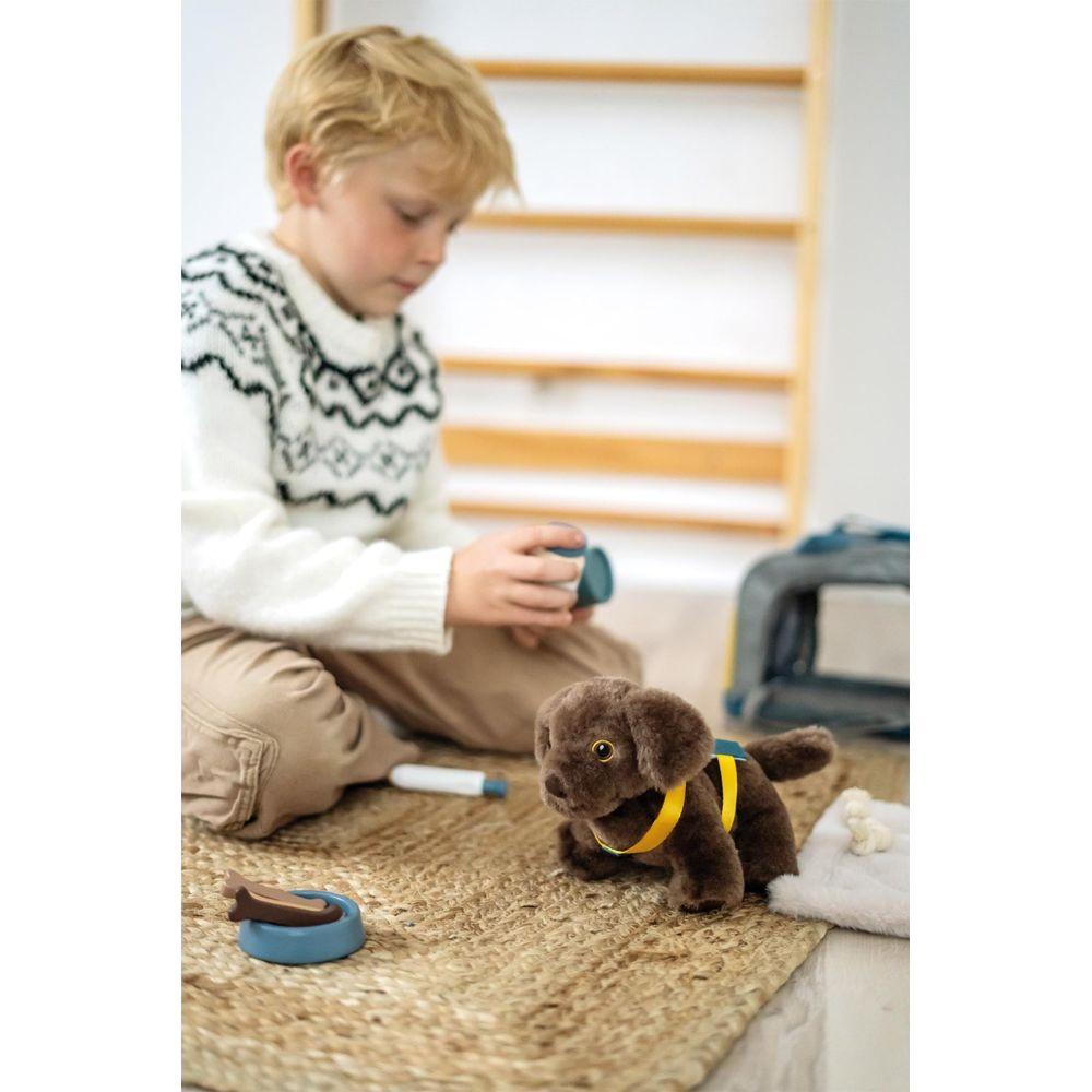Un garçon joue avec un chien en peluche marron, une gamelle et un thermomètre jouet.