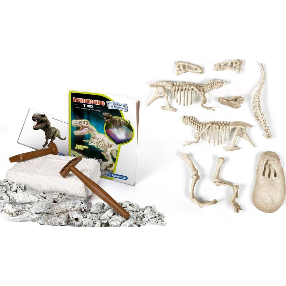 Dinosaurierskelett-Bausatz mit Werkzeugen und Buch auf einem felsigen Untergrund.