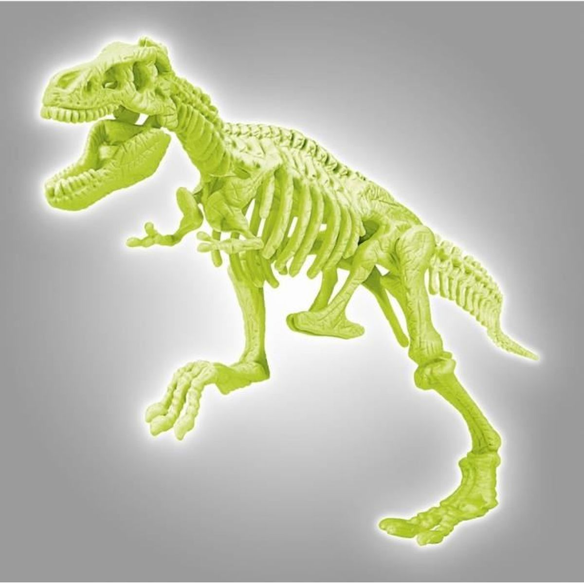 Ein hellgrünes Skelett eines Tyrannosaurus Rex auf grauem Hintergrund.