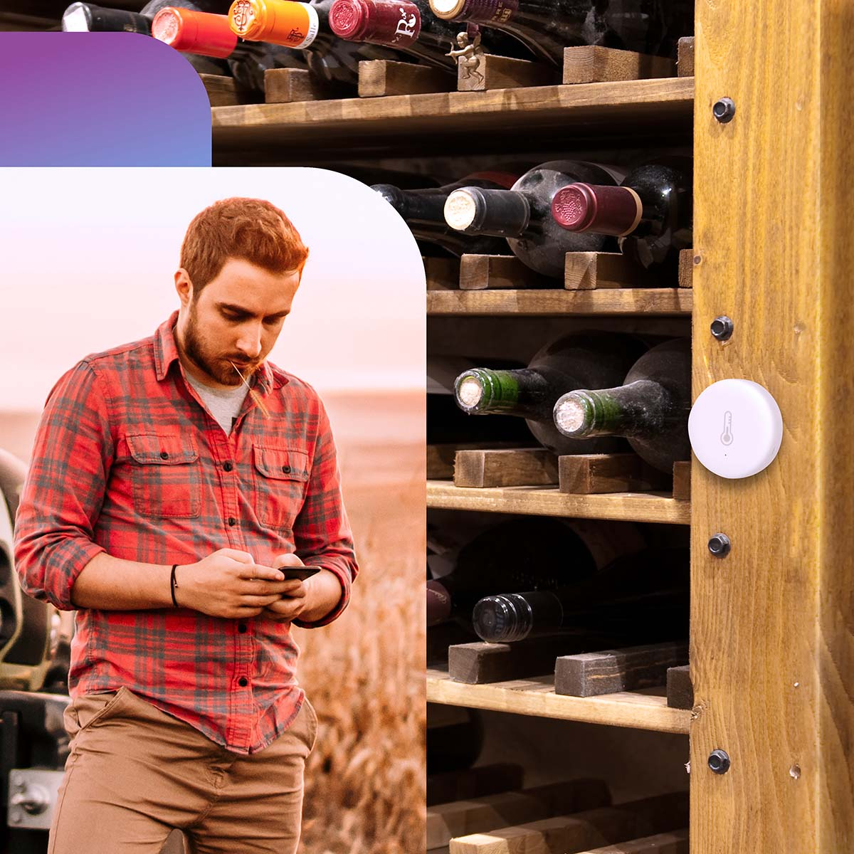 Man in plaid shirt looks at smartphone next to wine rack with thermometer.