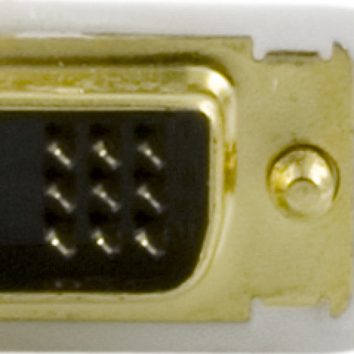 Gouden connector met zwarte pinnen en schroeven, close-up.