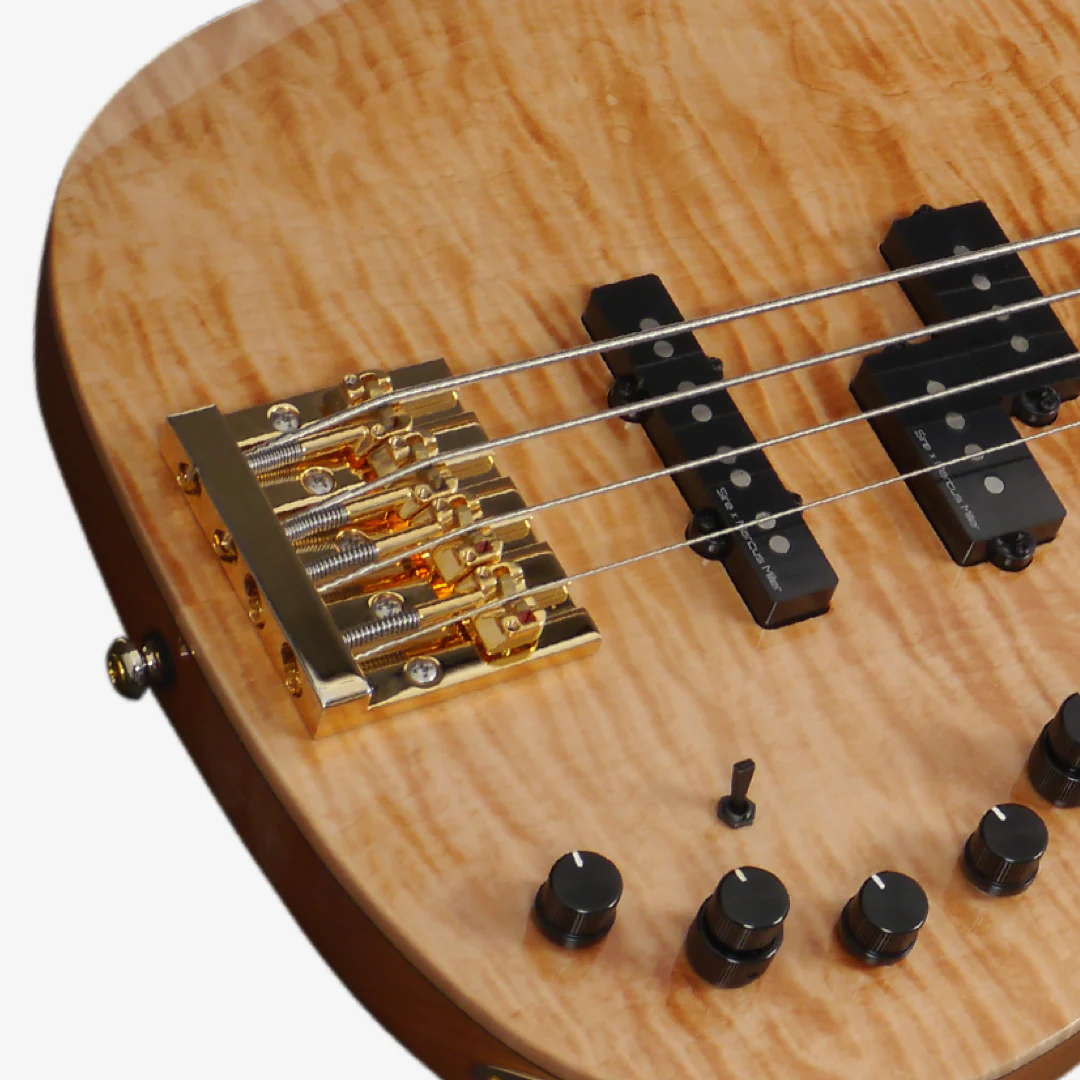 Altın köprülü ve dört telli elektrik bas gitar gövdesinin yakın çekimi.