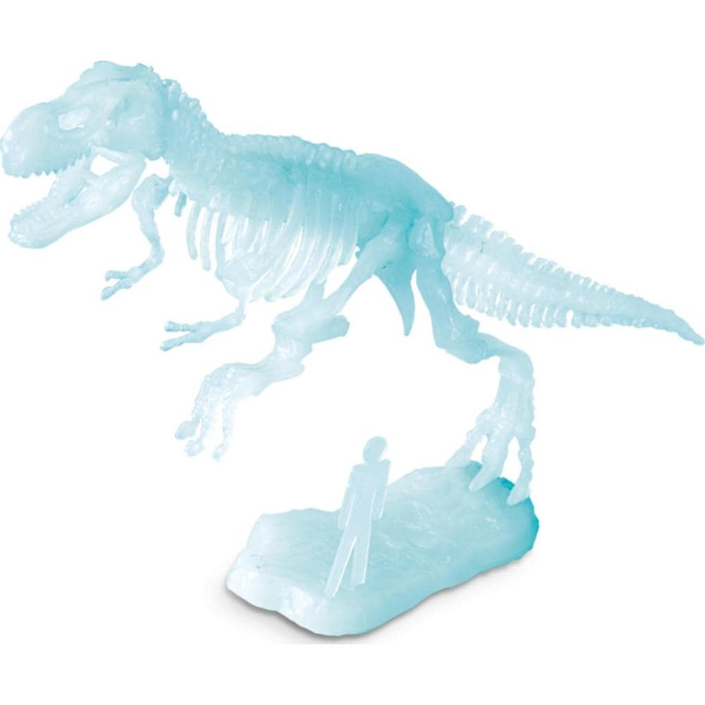 Un modello di scheletro di Tyrannosaurus blu traslucido con una piccola figura umana su una base.