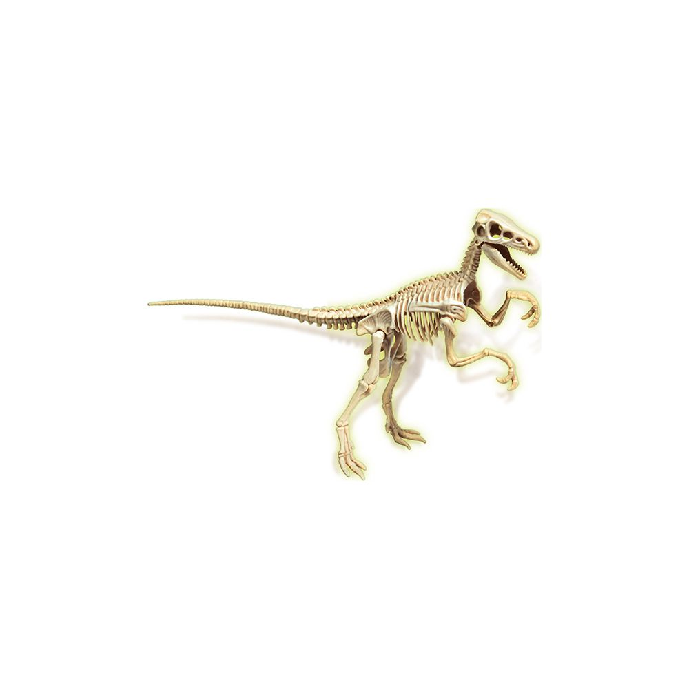 Ein hellbraunes Dinosaurierskelett, dynamisch auf weißem Hintergrund posiert.