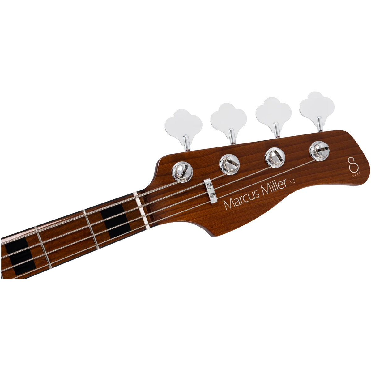 Dört akort mandalı ve telleri olan kahverengi bas gitar başlığı.