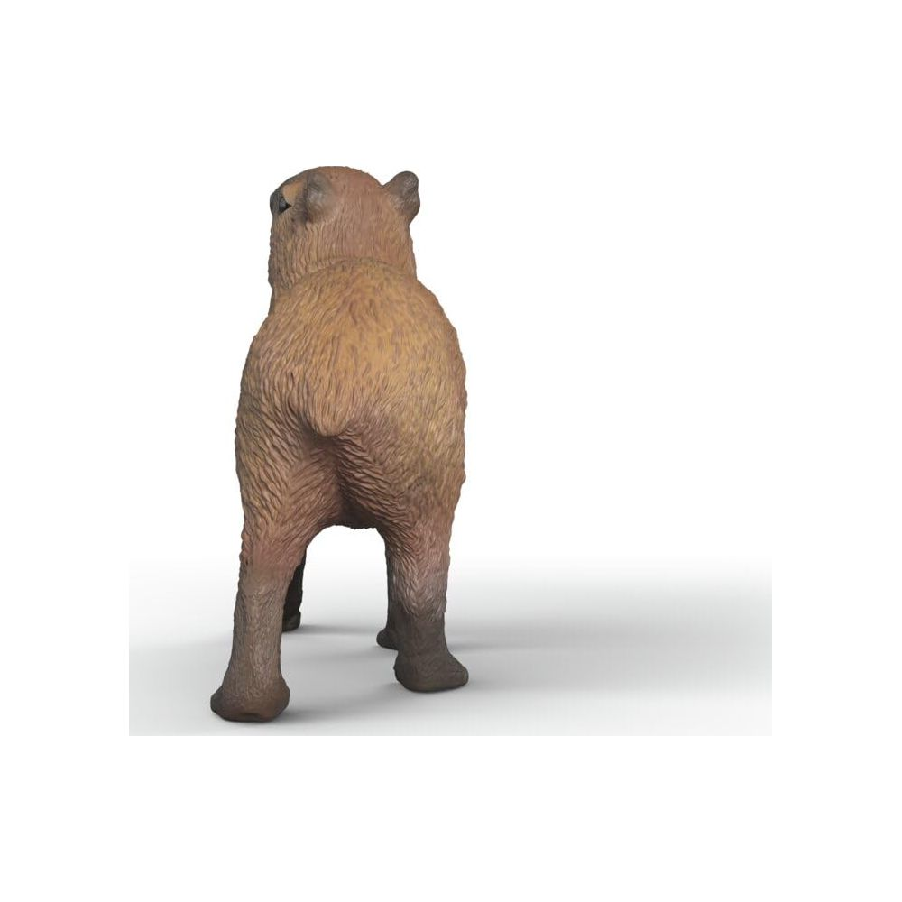Un animal brun vu de dos sur fond blanc.