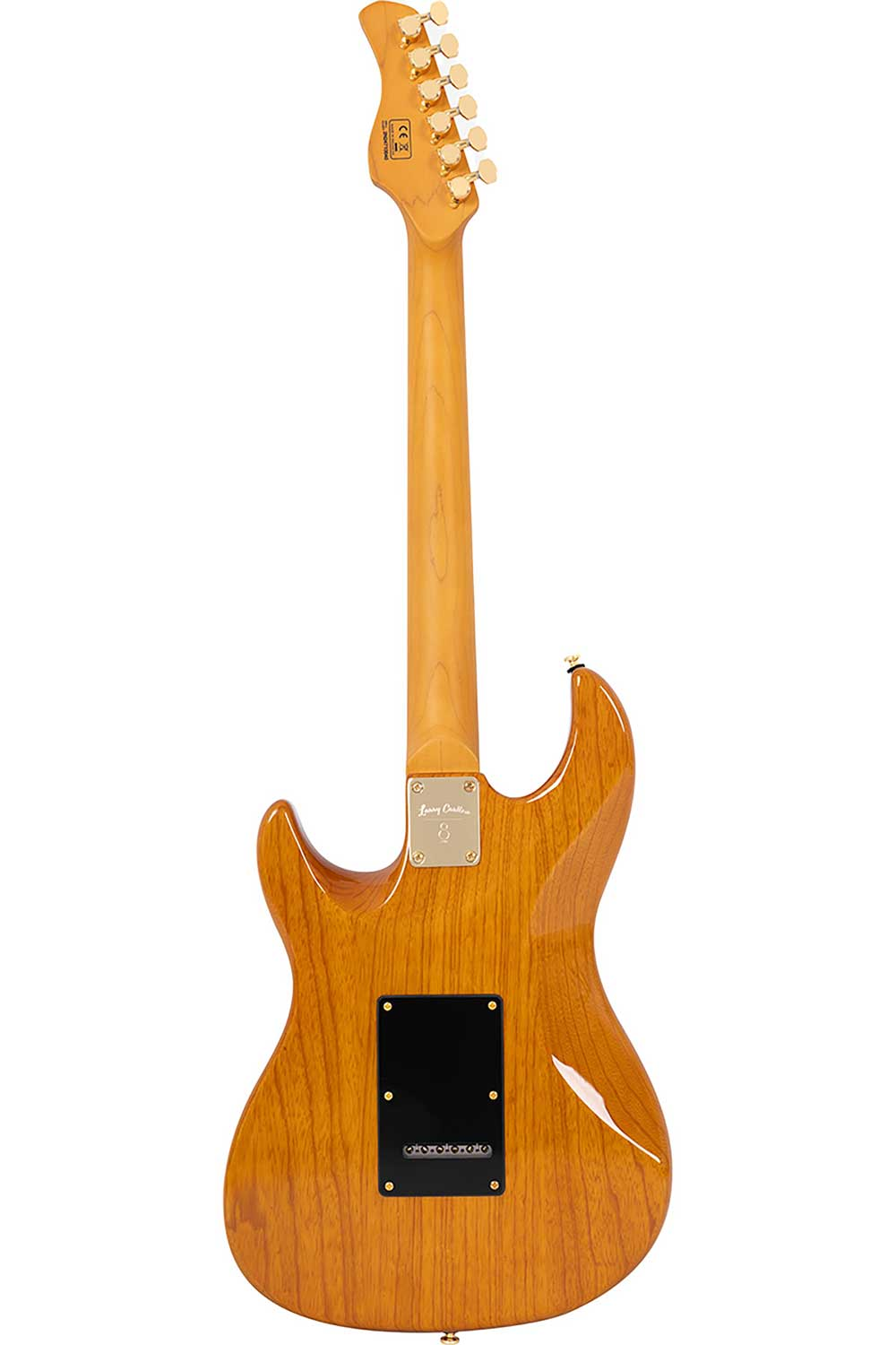 Ahşap gövdeli elektro gitarın arka görünümü, altın rengi burgular ve siyah manyetik kapağı.