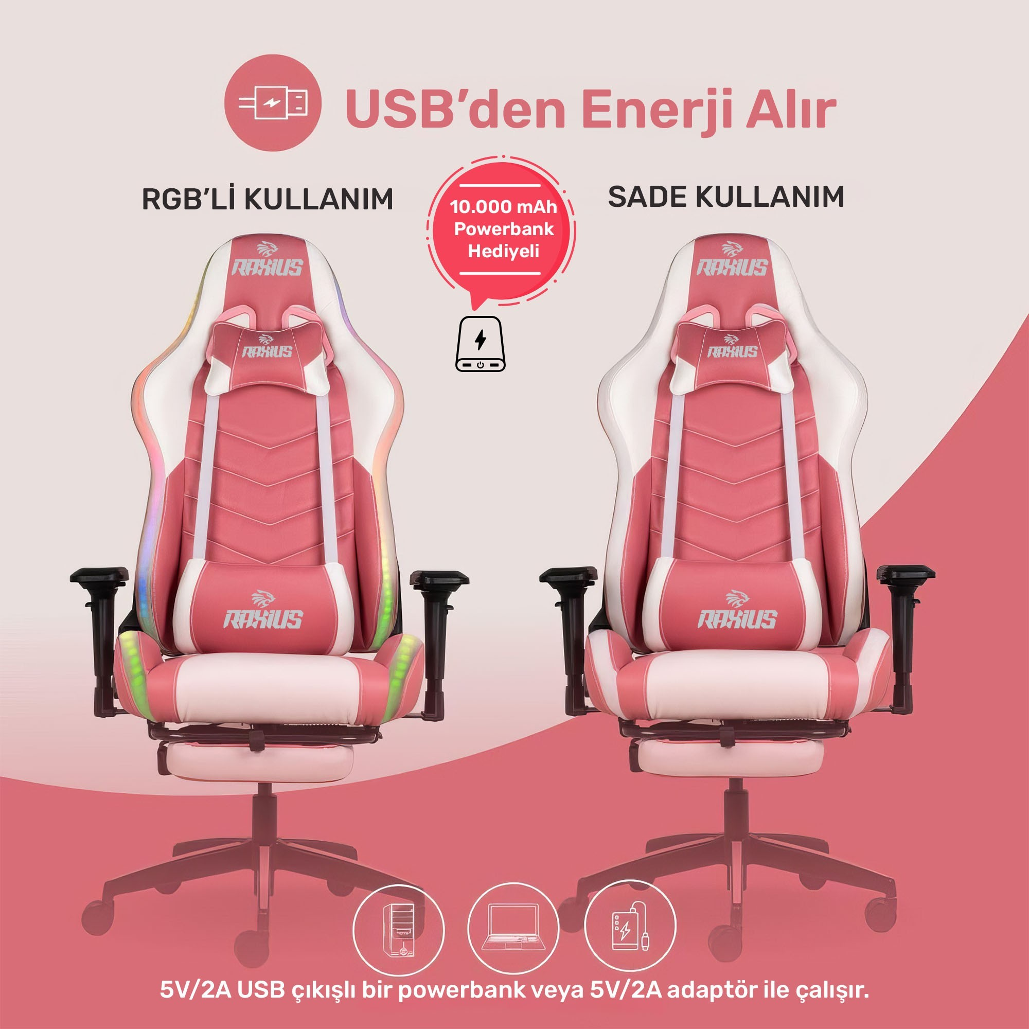 RGB aydınlatmalı ve normal pembe-beyaz iki adet oyuncu koltuğu.