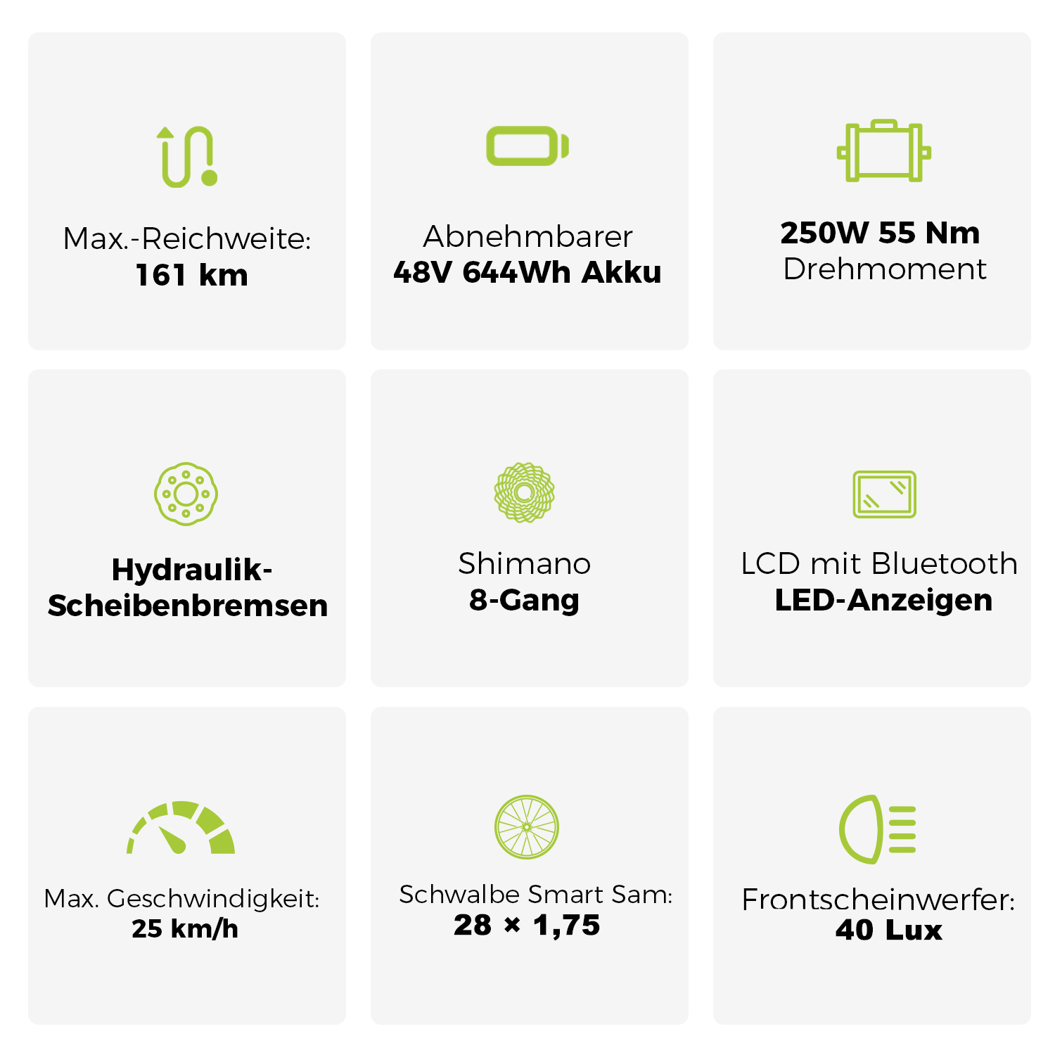 Übersicht E-Bike Spezifikationen: 161km Reichweite, 48V Akku, 250W Motor.
