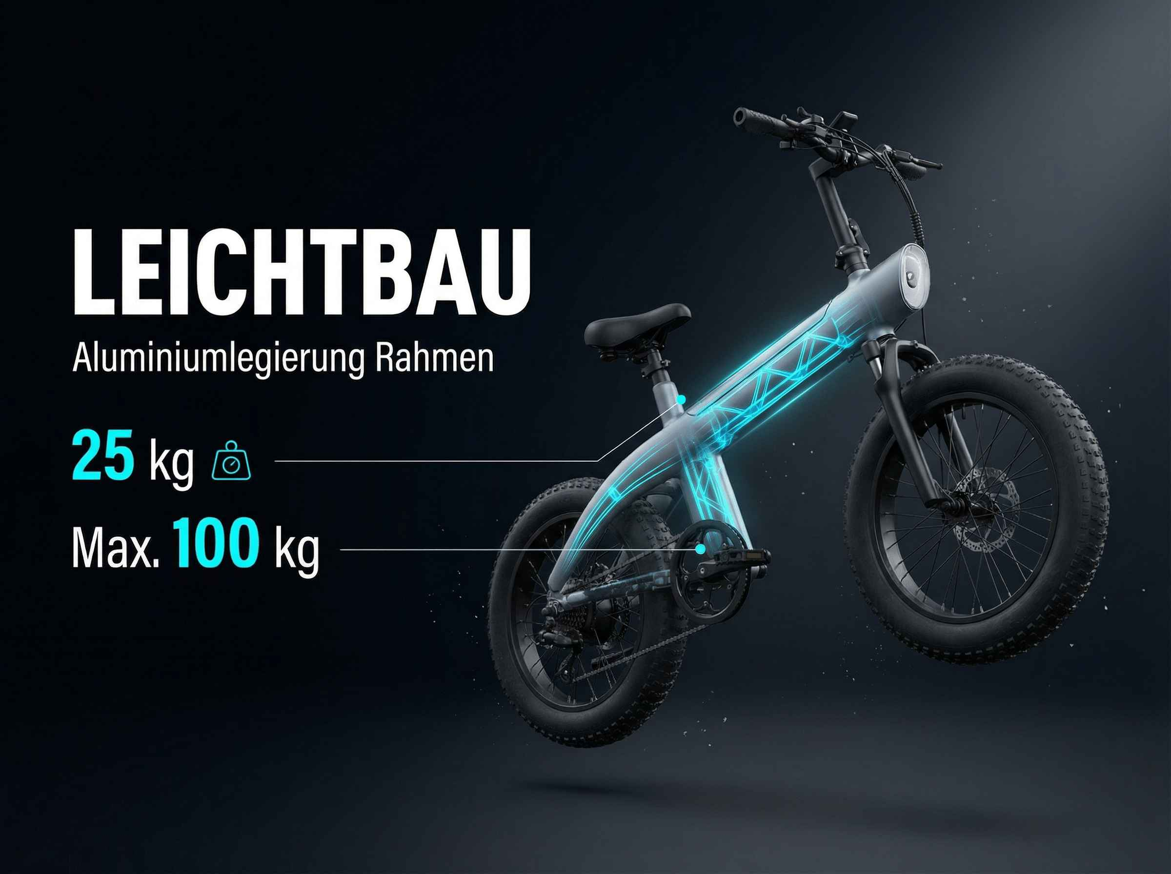 Leichtbau E-Bike mit Aluminiumrahmen, 25kg Eigengewicht, 100kg Max. Last.