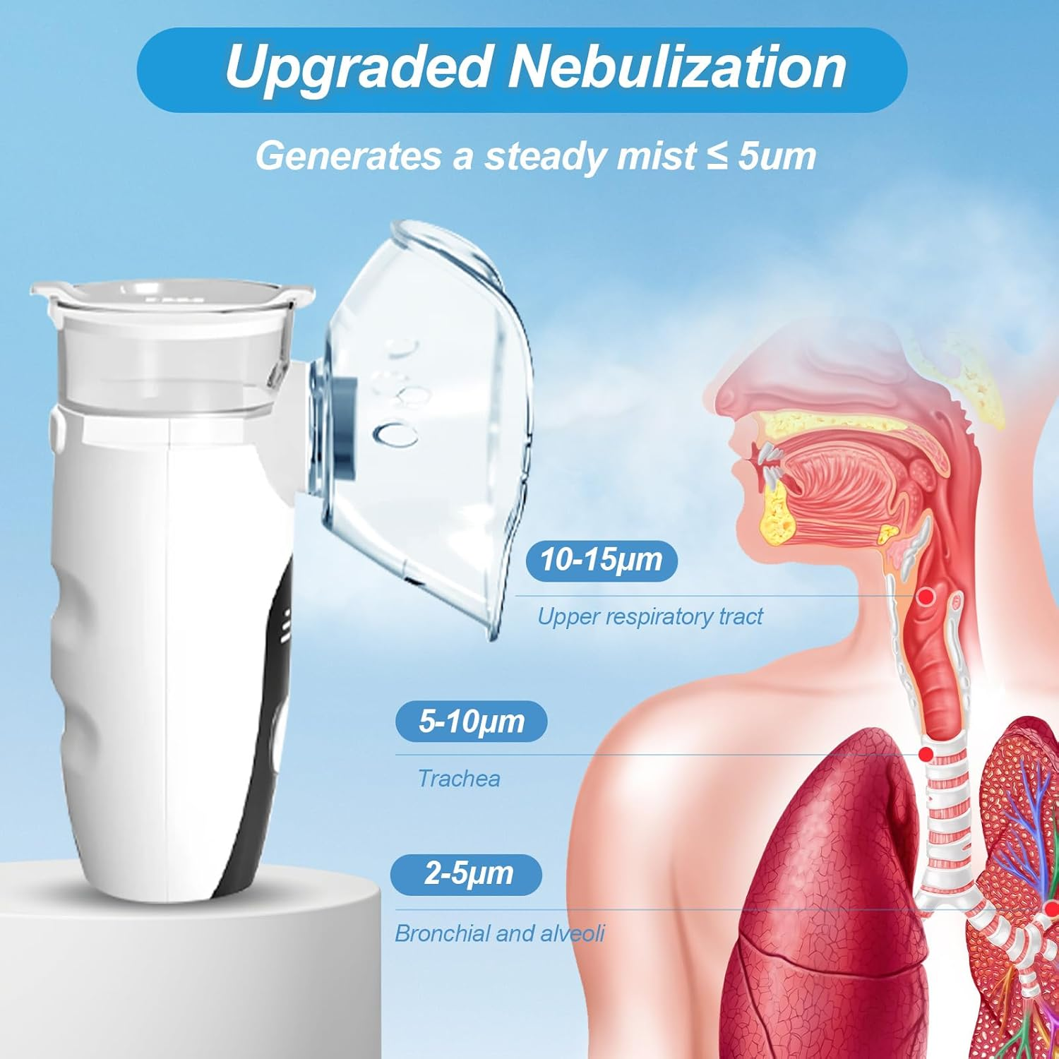 Nebulisator mit Maske zeigt Partikelgrößen des Nebels im Atemtrakt.