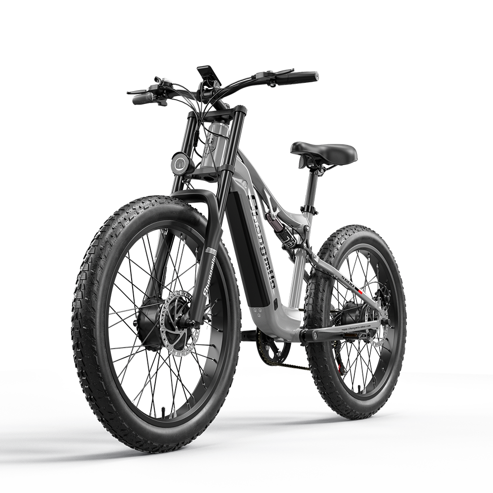 Graues E-Bike mit dicken Reifen und Federung, auf weißem Hintergrund.