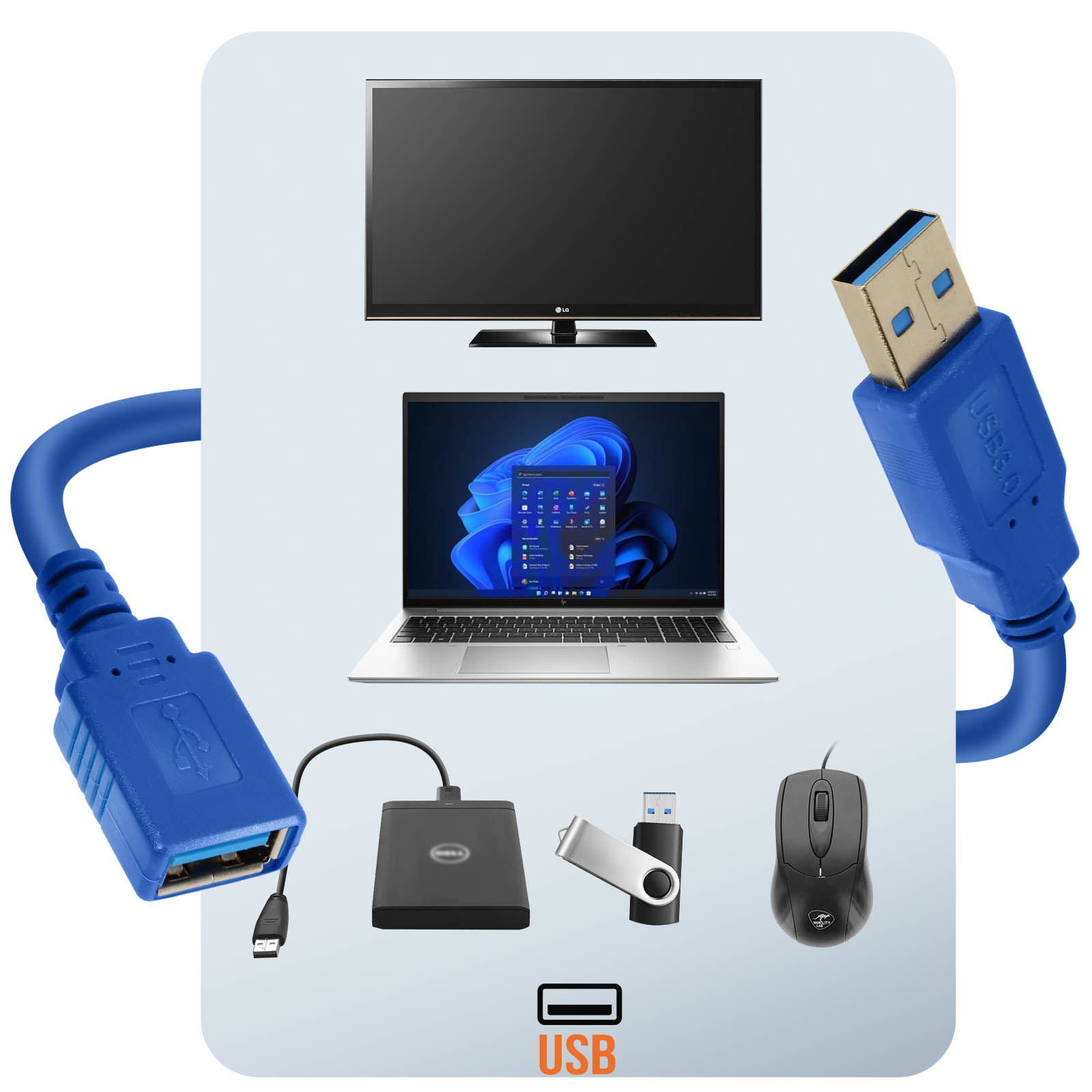Un laptop, monitor, mouse, chiavetta USB, hard disk e cavi.