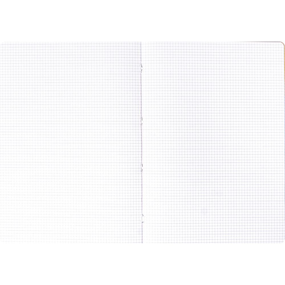 Un taccuino aperto con carta a quadretti e righe blu.